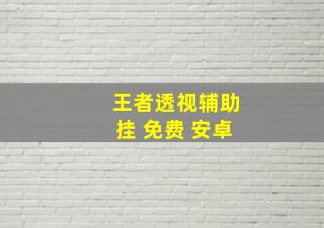 王者透视辅助挂 免费 安卓